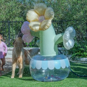 Outdoor Swan Sprinkler Inflatable: Fun & Refreshing Summer Must-Have