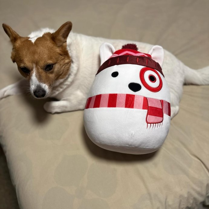 user image by @pipertheadventurecorgi, Squishmallows 12&#34; Target Bullseye Plush