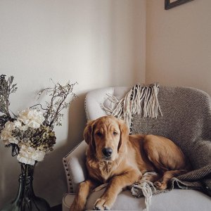 #hayneedleHome from my.wild.west