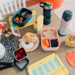 Boîte à Lunch Isolante Pottery Barn Kids – Colton – Rose/Gris/Vert – NEUVE