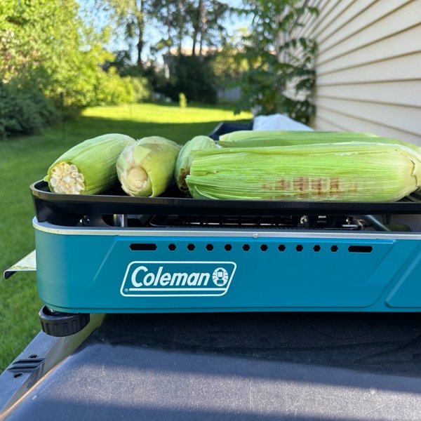 Coleman Xcursion 1-Burner Butane Grill | REI Co-op