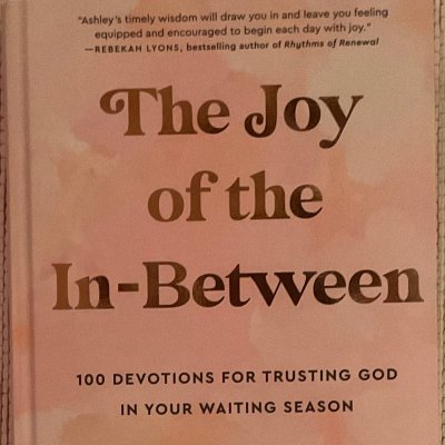 The Joy of the In-Between Hardcover Devotional Book