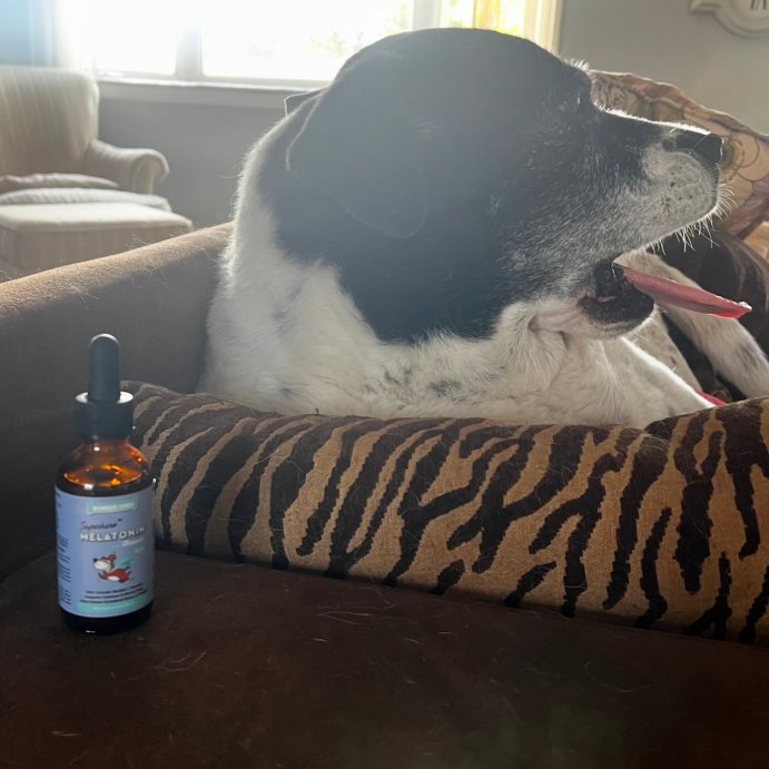 user image by @meg090405, Wonder Paws Bacon Flavored Anxiety Drops Melatonin for Dogs Pet Vitamins And Supplements 2 OZ