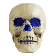 Shop Gemmy Skull Fibre Optic LED Light-Up Prop with Batteries, White, 6-in, Light Activated Indoor Decoration for Halloween and more