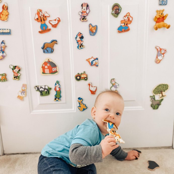 user image by @happelittlehomeschool, Melissa &#38; Doug 20 Wooden Farm Magnets in a Box