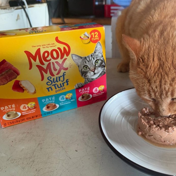 user image by @country_beauty_ems_26, Meow Mix Surf n Turf Tuna Salmon and Chicken Flavor Wet Cat Food - 33oz