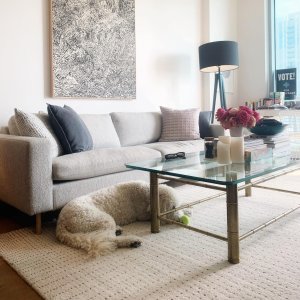 Graduated Dot Rug