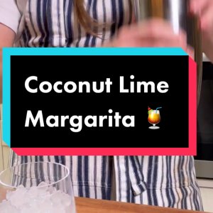 Williams Sonoma Encore Bar Double Wall Cocktail Shaker