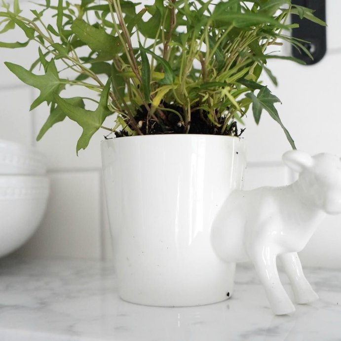 user image by @seekinglavenderlane, Porcelain Beaded Rim Cereal Bowl 20oz White - Threshold&#8482;: Textured Round Porcelain, Microwave &#38; Dishwasher Safe