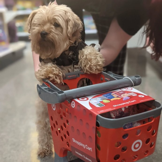 user image by @terrierdolly, Target Toy Shopping Cart