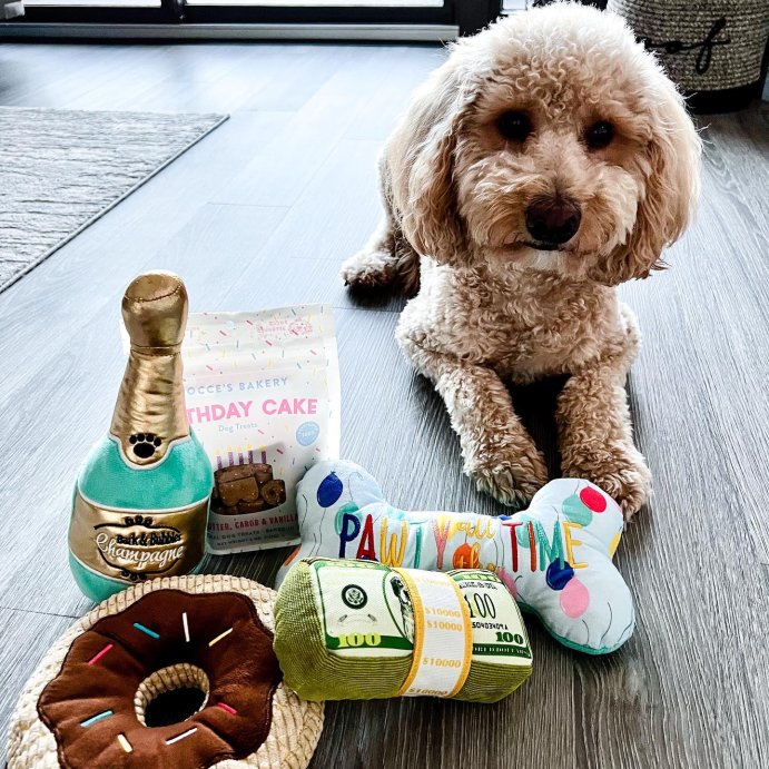 user image by @charlie_the__dood, TrustyPup Chocolate Donut Durable Plush Dog Toy