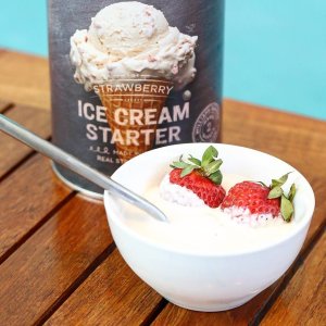 Williams Sonoma Ice Cream Starter, Chocolate