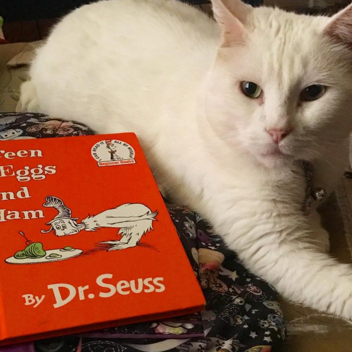 user image by @emersonrae_meow, Green Eggs and Ham (Hardcover) by Dr. Seuss