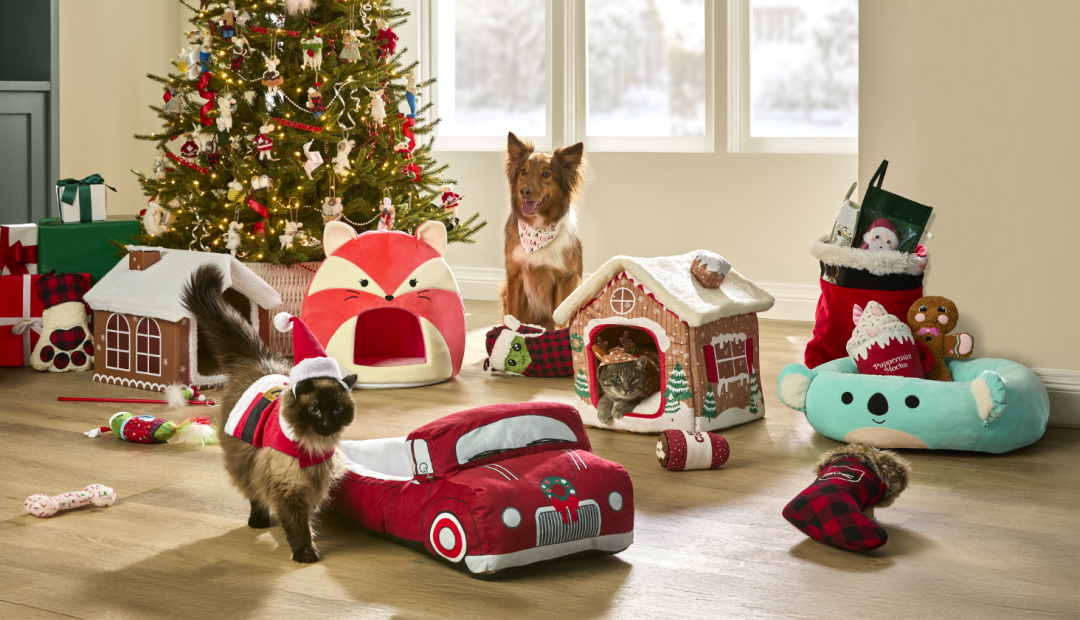 Shop Petco Merry Makings FA-LA-LA Pet Bandana, Merry Makings at Petco Santa Suit Holiday Pet Costume, Petco Merry Makings Lumberjack Special Edition Pickle Dog Toy, 14-in, Squishmallow Fifi Fox Pet Cave, Petco Merry Makings Cabin Pet Bed, Petco Holiday Novelty Red Truck Pet Bed, Petco Merry Makings Gingerbread House Cat Scratcher, Squishmallow Kevin Pet Bed, Medium, 24-in, Petco Merry Makings Gingerbread Plush Dog Toy, 12-in, Merry Makings at Petco Cat Stocking and more
