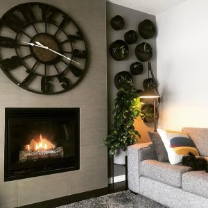 I am so so happy that I took a leap and transformed this wall into my very own living wall. 🌿🌿 It wasn’t what I originally planned but the $10k quote for a true living wall also wasn’t in the plans 😬🌿🌿 Found these planters at plantshopyyc and I am so happy with the way they turned out!🌿🌿 Seriously though, how sweet is willow snoozing 🐶

#plantsmakepeoplehappy #livingwall #plantdecor #myhome #decor #livingroomdecor #tropical #yyc #rescuedogsofinstagram #willow #plantbythepeople #urbanjungle
