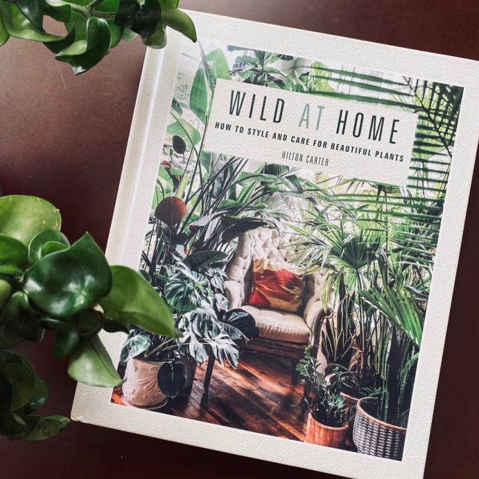user image by @thisholisticlife, Wild at Home - by  Hilton Carter (Hardcover)