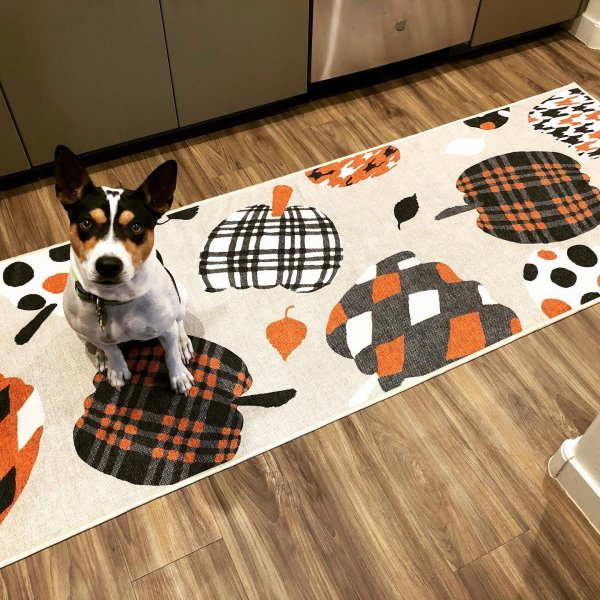 Pumpkin Orange Rug