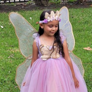 Lavender Butterfly Fairy Halloween Costume