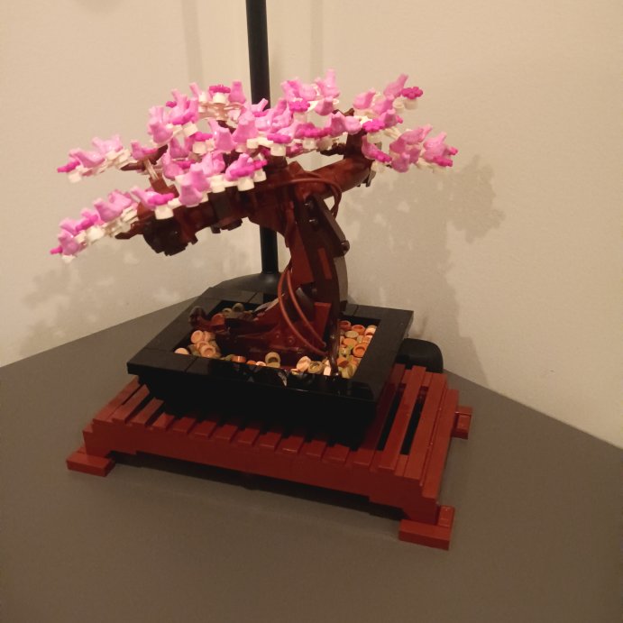 user image by Quandale Dingle, LEGO Icons Bonsai Tree Home D&#233;cor Set  10281