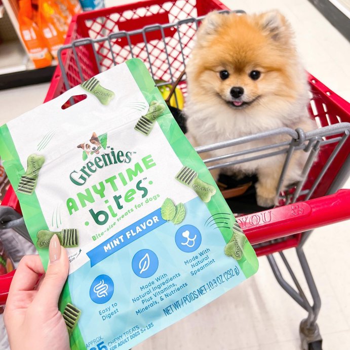 user image by @bubbles.thepowerpuffpom, Greenies Anytime Bites Dental Peppermint Flavor Dog Treats