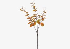 Shop Tige d'eucalyptus Luis caramel and more