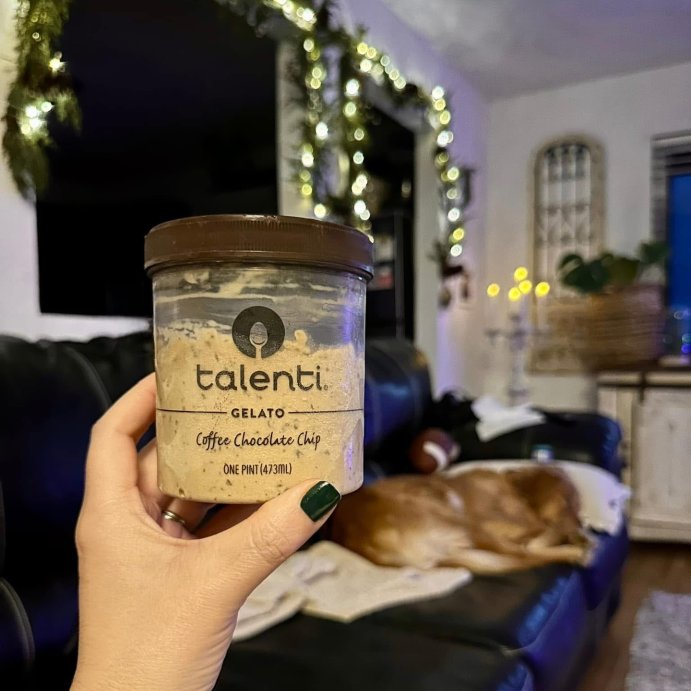 user image by @beautifullifeimages, Talenti Coffee Chocolate Chip Gelato - 16oz