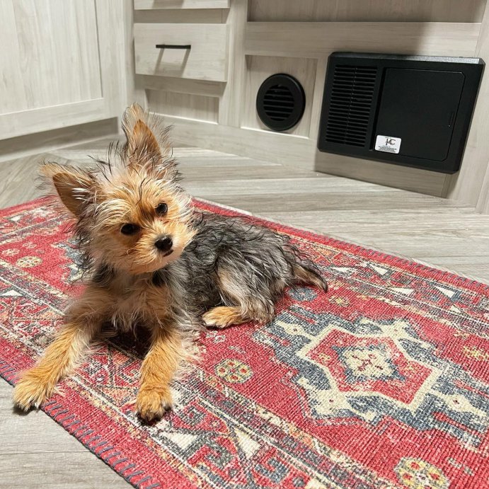 user image by @kiwithemorkiee, Vintage Persian Medallion Kitchen Rug Red - Threshold™
