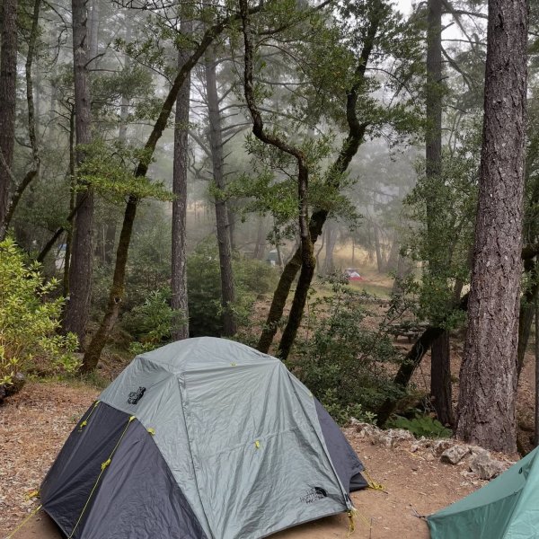 The North Face Wawona 4 Tent | REI Co-op
