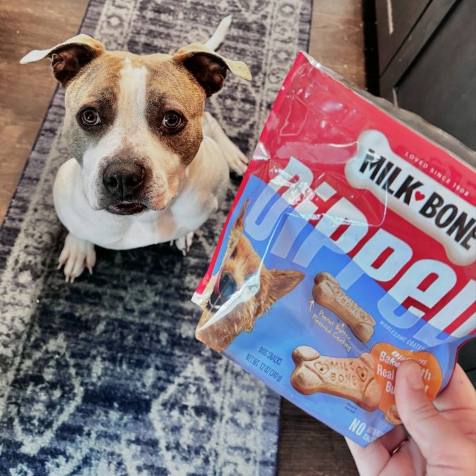 user image by @goodest.girl.blue, Milk-Bone Dipped Peanut Butter Crunchy Dog Treats