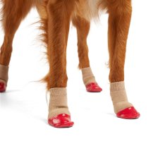 Shop Petco Non-Skid Rubber-Dip Sock for Dogs, Red and more