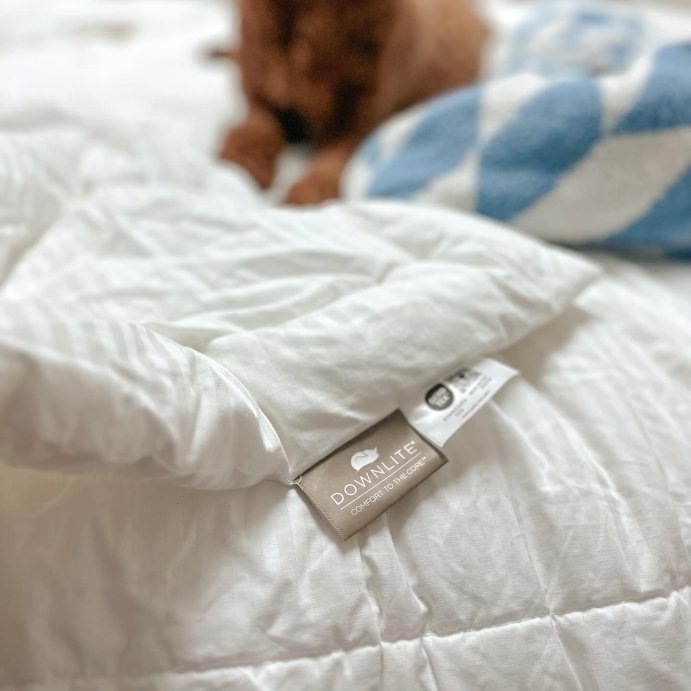 user image by @theoldfranklinhouse, Downlite World's Biggest Blanket - Colossal Size Down Alternative Blanket.