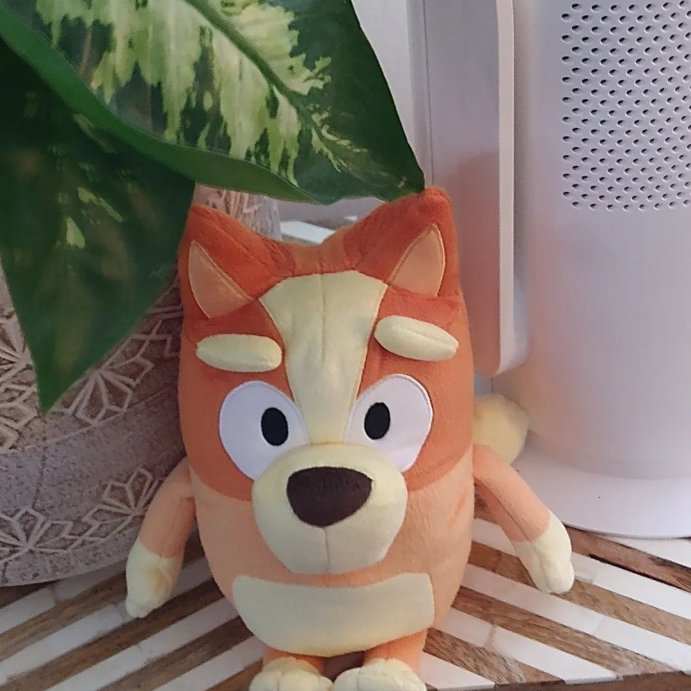 user image by @zebrafishfan101, Bluey Sound Effects Talking Bingo Stuffed Plush