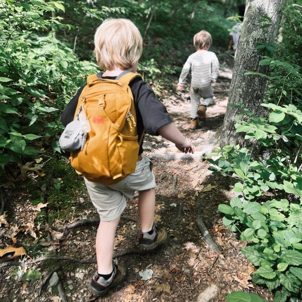 @thehomeschoolinghiker's instagram image of REI Co-op Tarn 12 Pack Rustic Gold