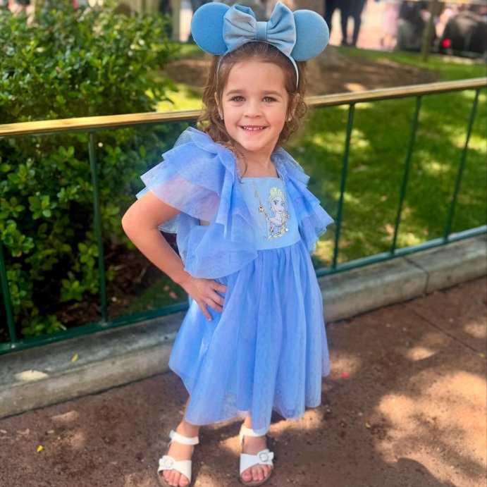 user image by @babbbymattie, Toddler Girls' Disney Elsa Frozen Ombre Dress - Blue/Purple