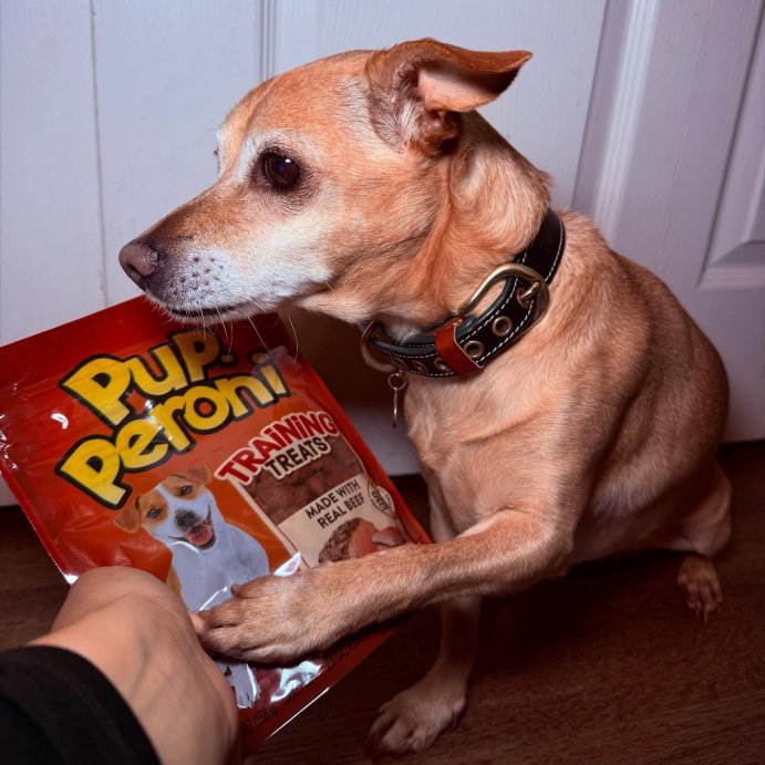 user image by @jocelyn_emr, Pup-Peroni Treats Peroni Beef Flavor Training Chewy Dog Treats - 5.6oz