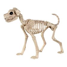 Shop Buster Bonez Skeleton Dog Halloween Decoration, 20-in and more