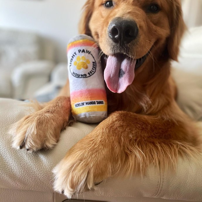 user image by @hercules_the_golden, PetShop by Fringe Studio Light Paw Cans Mini Dog Toy Set - 3pk