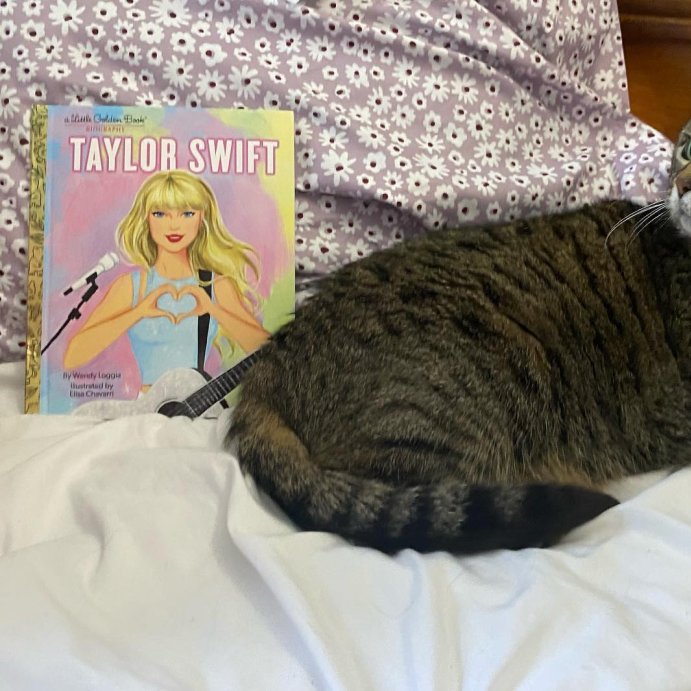 user image by @its.mandolin, Taylor Swift: A Little Golden Book Biography - by Wendy Loggia (Hardcover)
