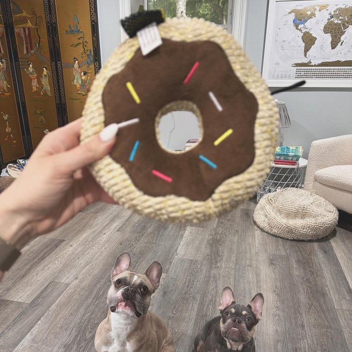 user image by @ouilouisandremy, TrustyPup Chocolate Donut Durable Plush Dog Toy