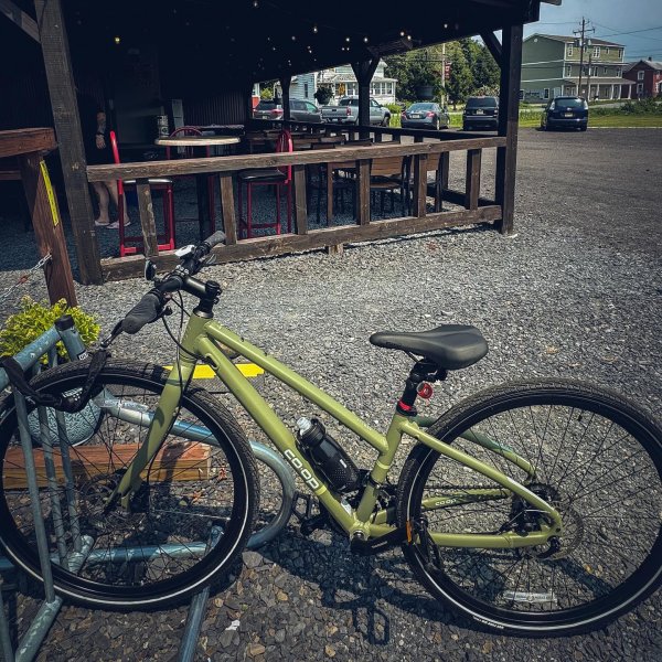 Co-op Cycles CTY 1.1 Step-Through Bike | REI Co-op