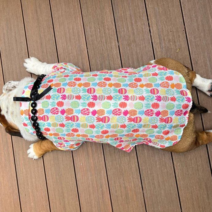 user image by @wilburandwaffles, Hawaiian Tropical Dog and Cat Shirt - Pineapples - Sun Squad™