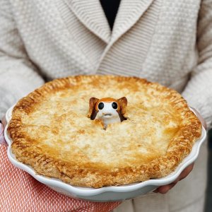 User generated image 9