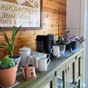 User generated image 0