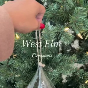 Glass Cloche Ornament