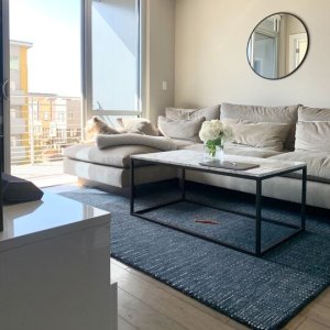 Graduated Dot Rug