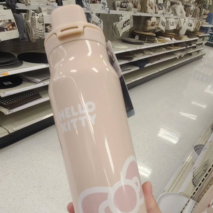 user image by @asiabarbie, Zak Designs 24oz Stainless Steel Vacuum Insulated Chug Bottle