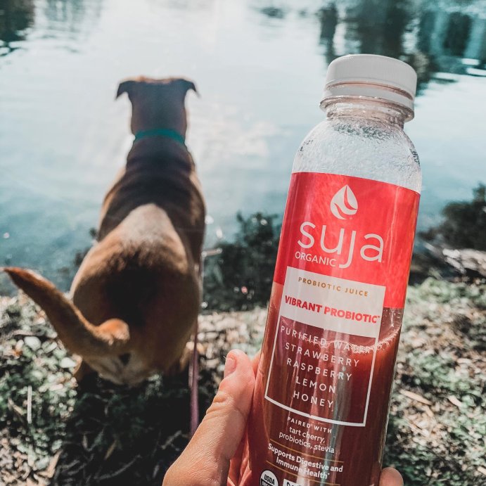user image by @sirenprisco, Suja Organic Vibrant Probiotic Cold Pressed Juice Drink - 12 fl oz Bottle