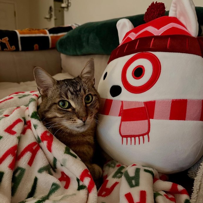 user image by @angelabelmares, Squishmallows 12&#34; Target Bullseye Plush