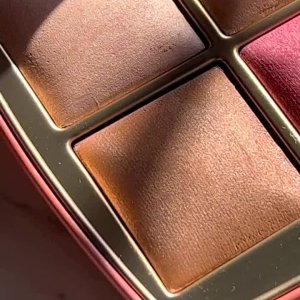 @allie_glowup’s instagram video of Hourglass Ambient Lighting Edit Unlocked Elephant