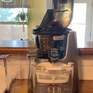 Setemi Fruit Vegetable Slow Masticating Cold Press Juicer Wayfair